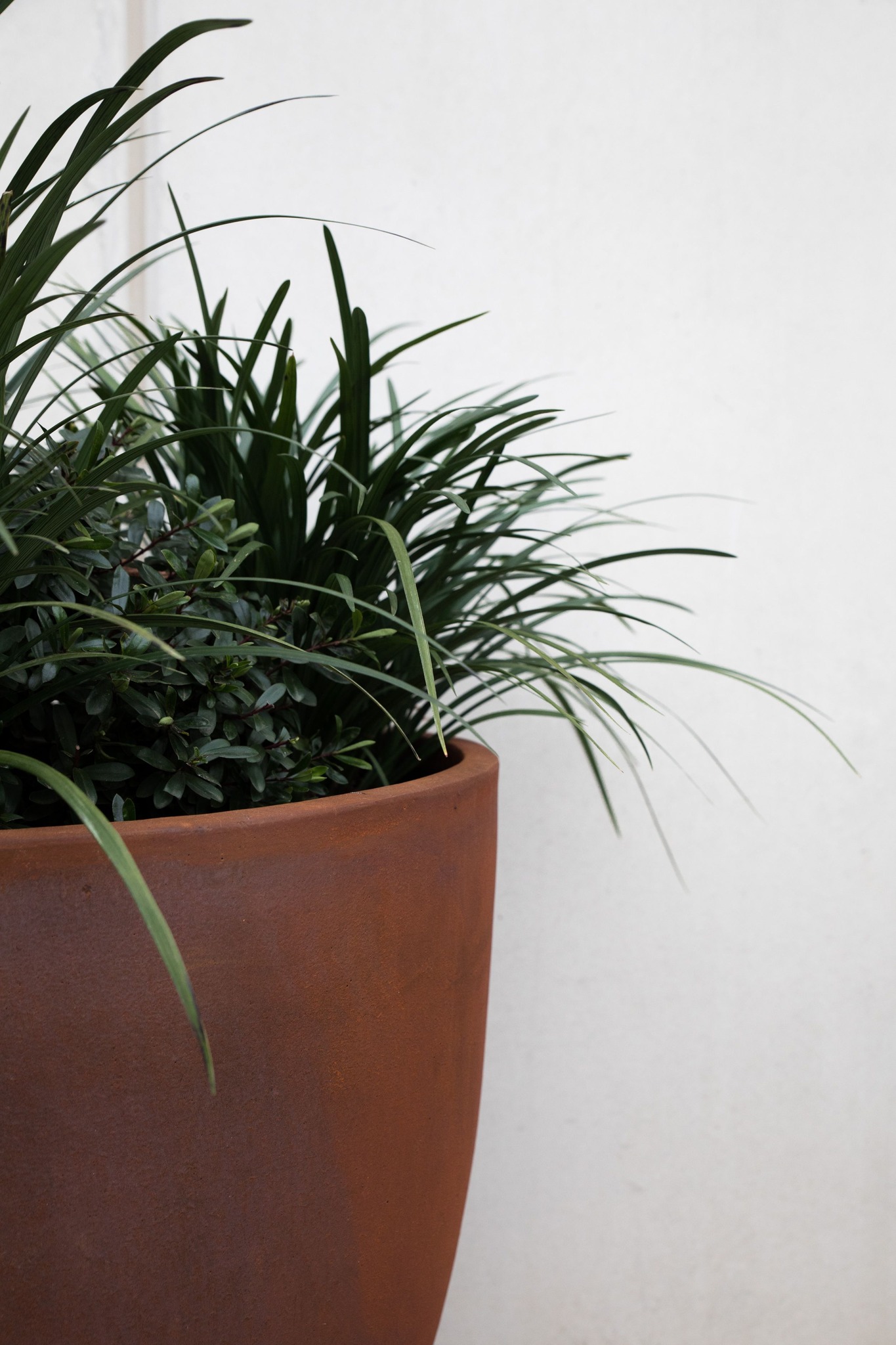 Custom Planters