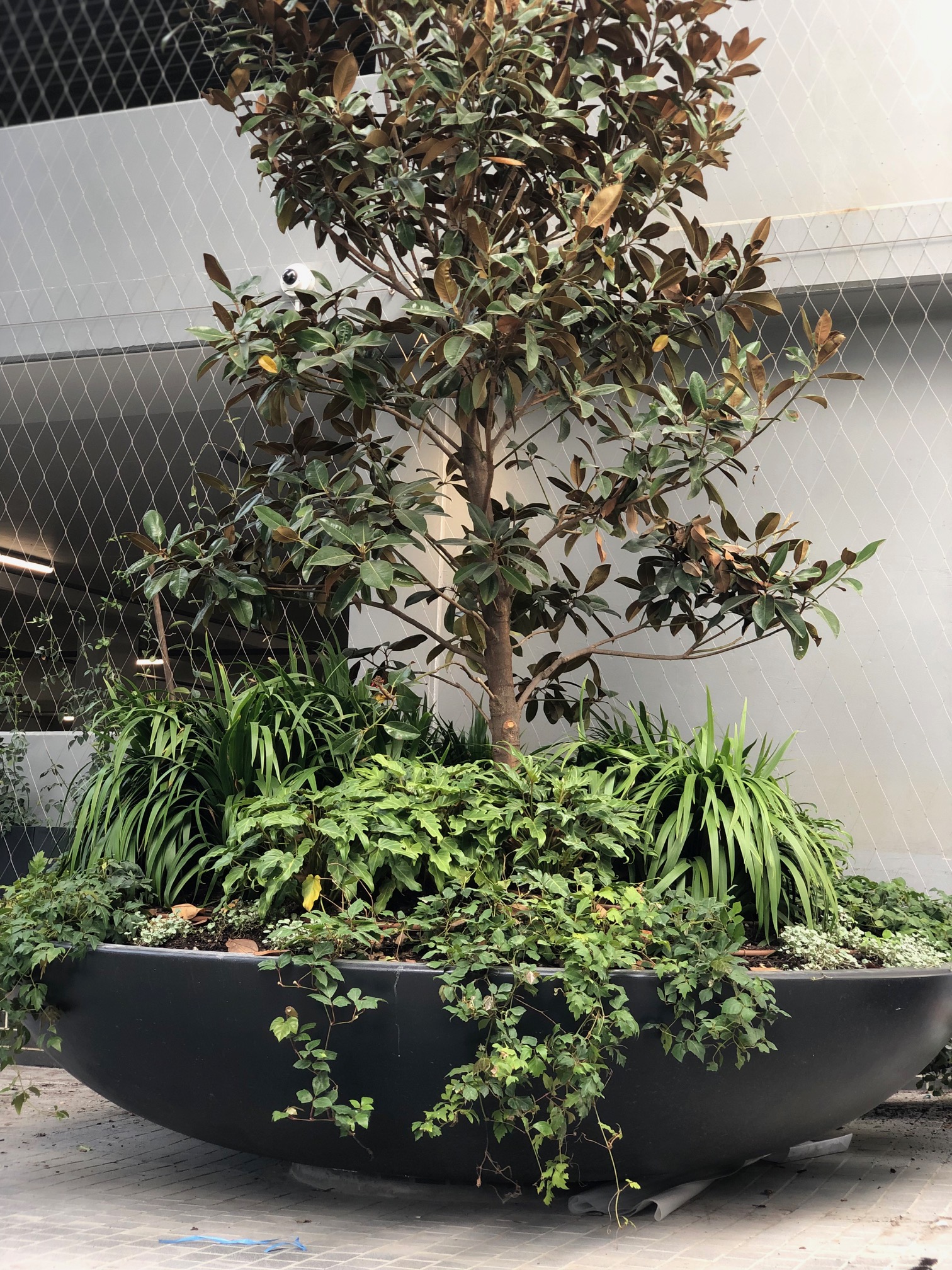 Gallery Image 15