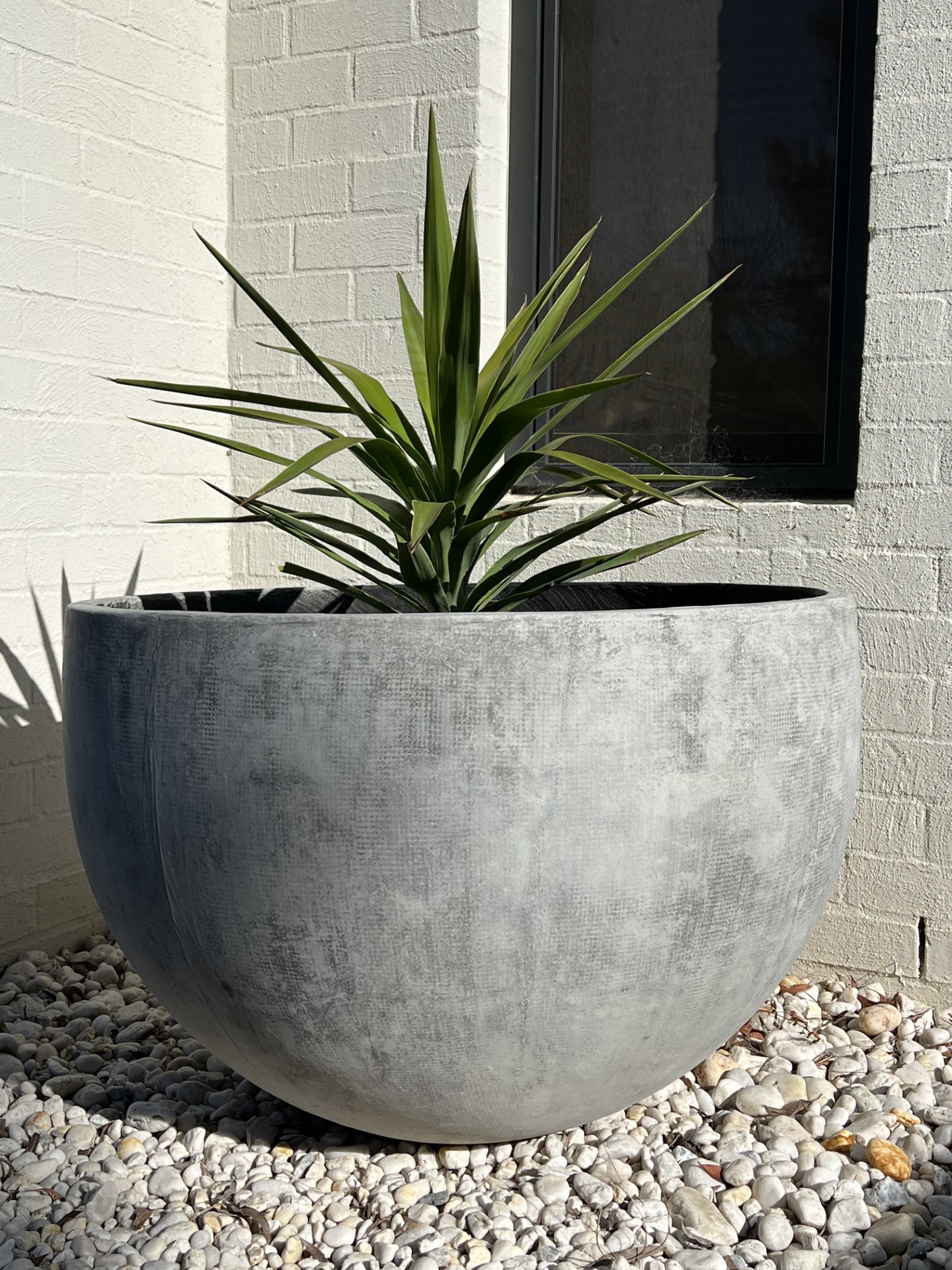 Gallery Image 13